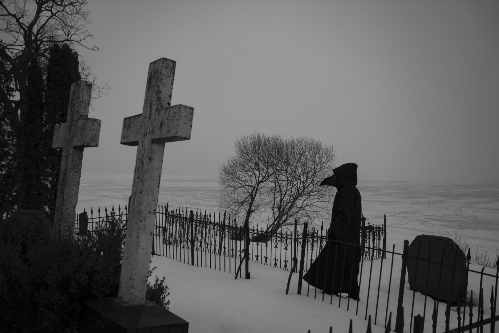 DSC_9211---raw bw