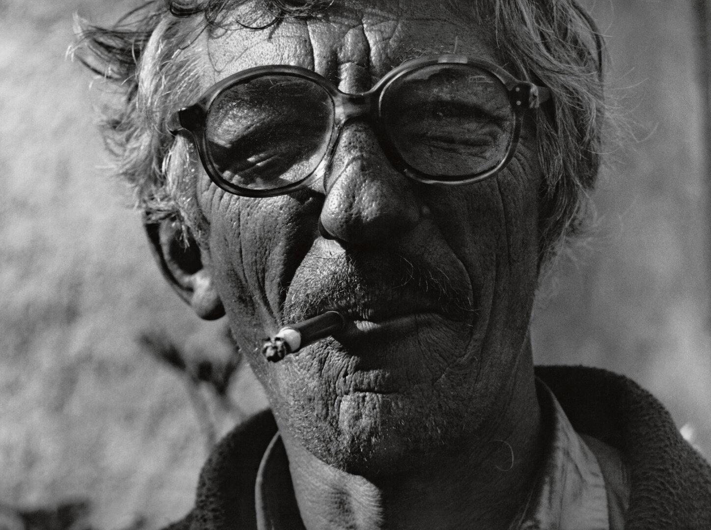 Vienkiemio godos, 2004