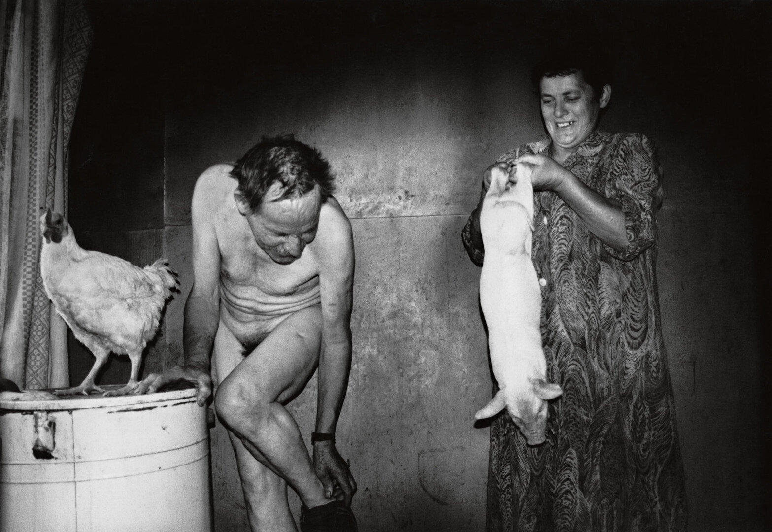 Pavargusio kaimo grimasos, 1998