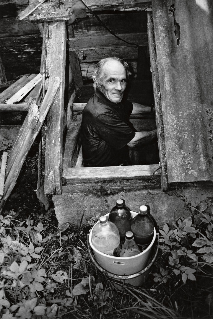 Vienkiemio godos, 2004
