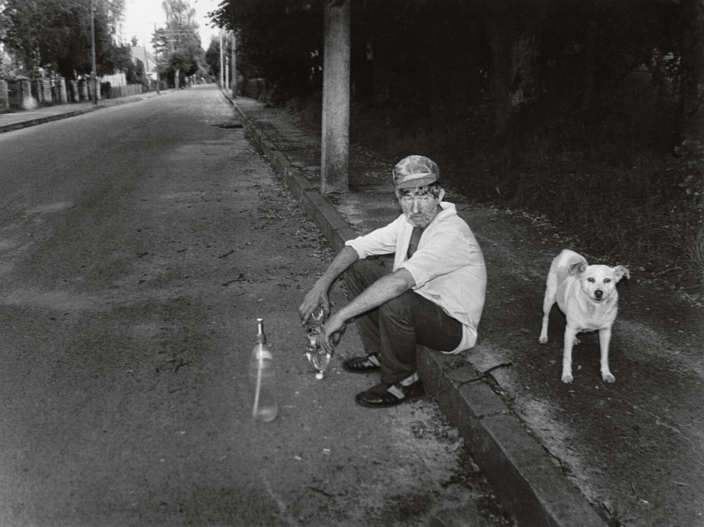 Pavargusio kaimo grimasos, 2001
