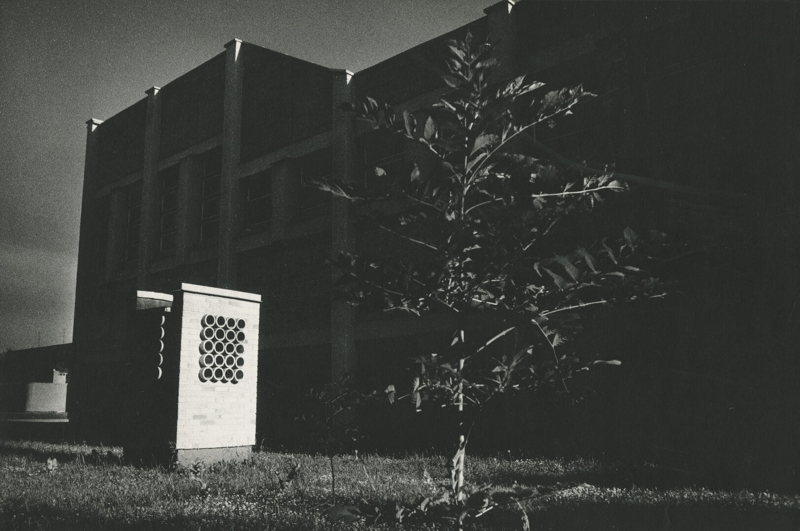 Akcentas, 1986