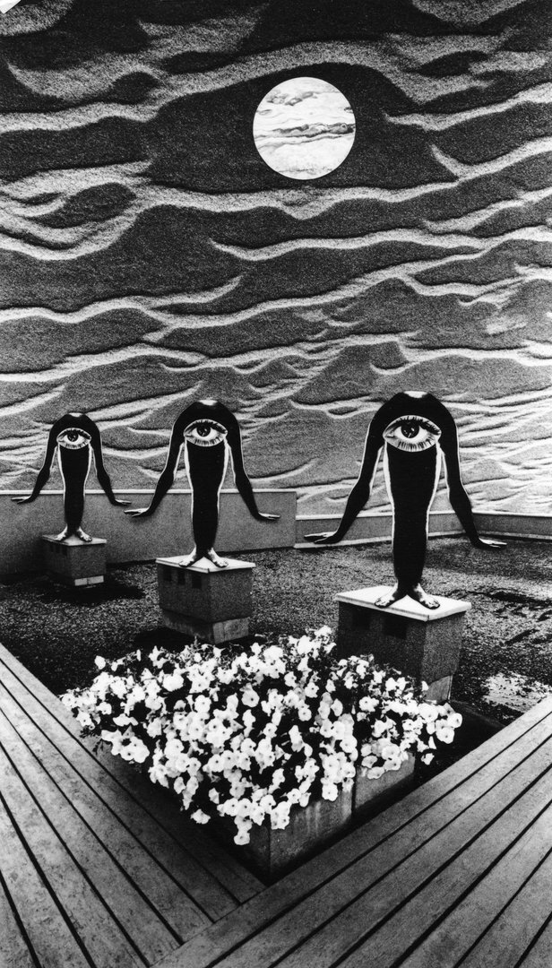 Civilizacija. Oazė, 1983