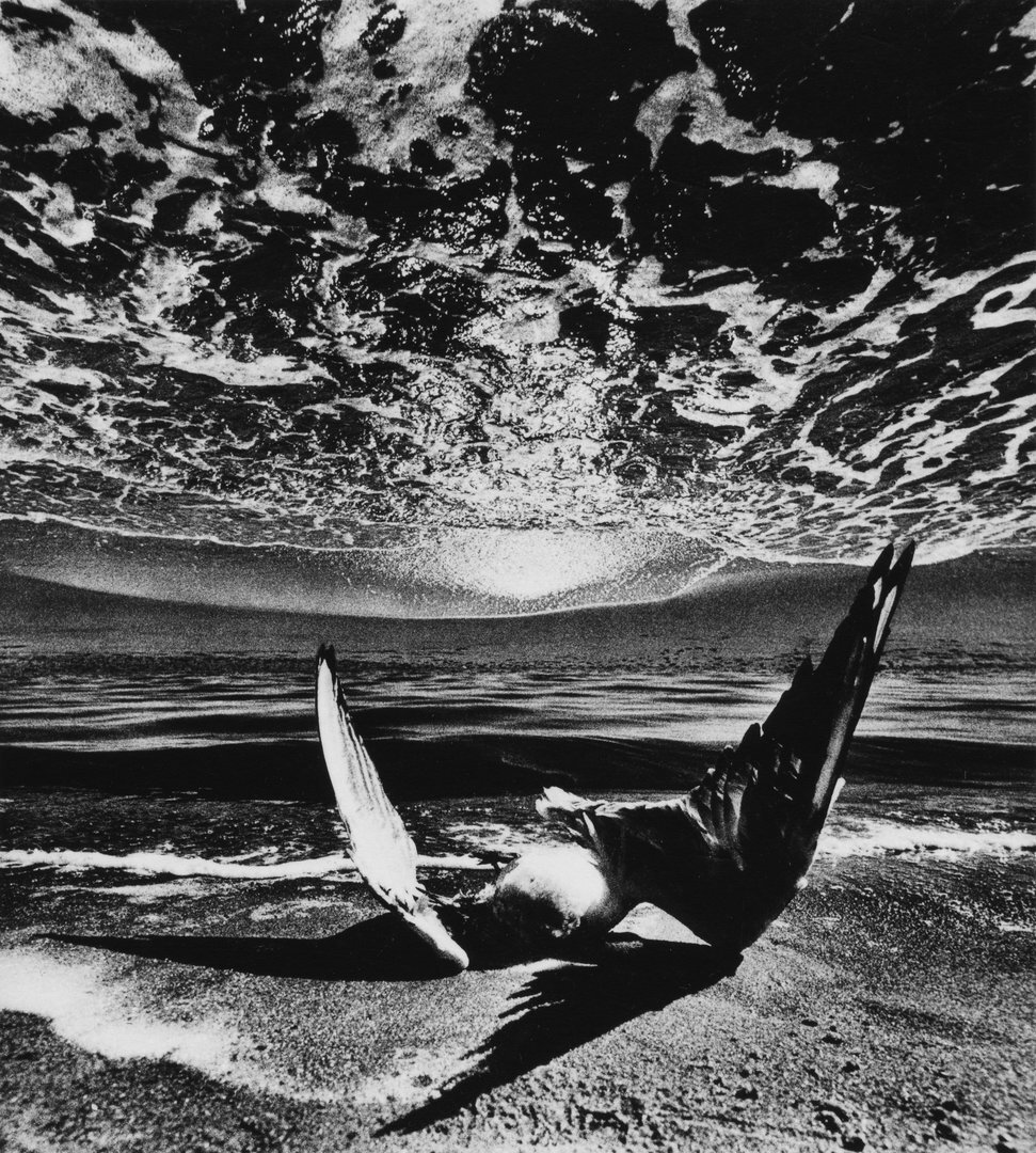 Requiem, 1973