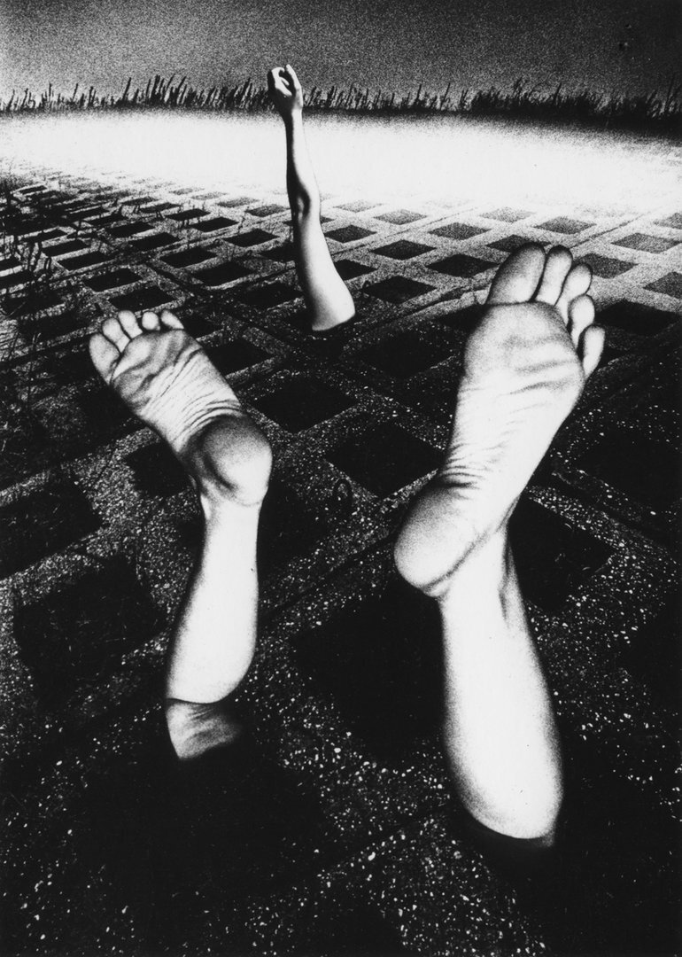 SOS, 1983