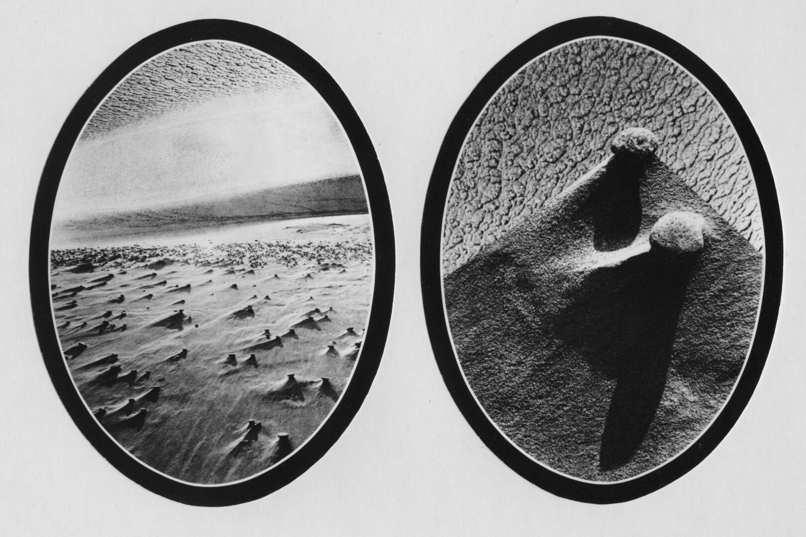 Terra Incognita, 1976