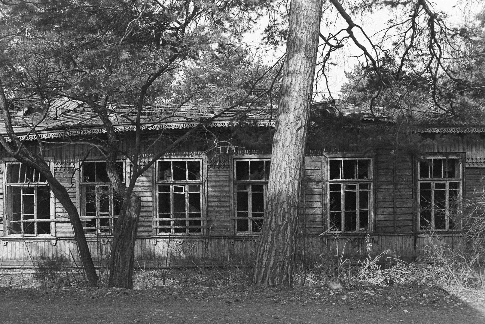 Vilkpėdės g. 3