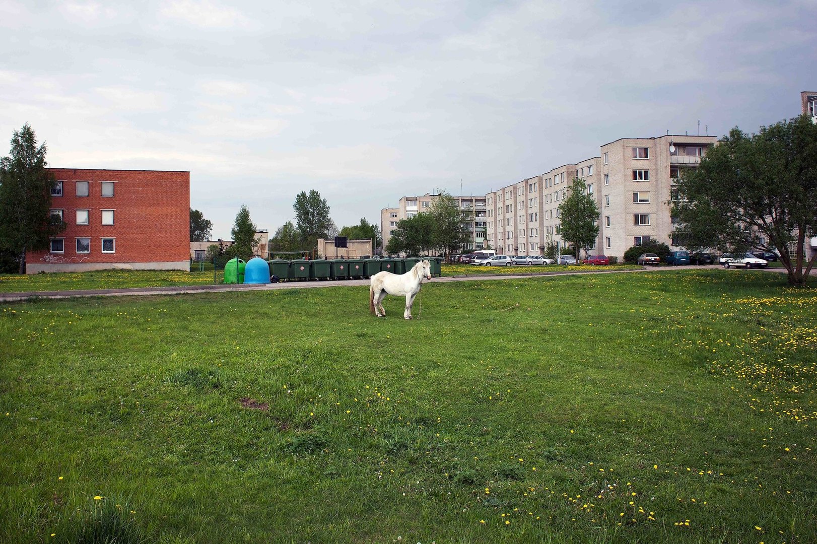 Mindaugo Ažušilio nuotrauka