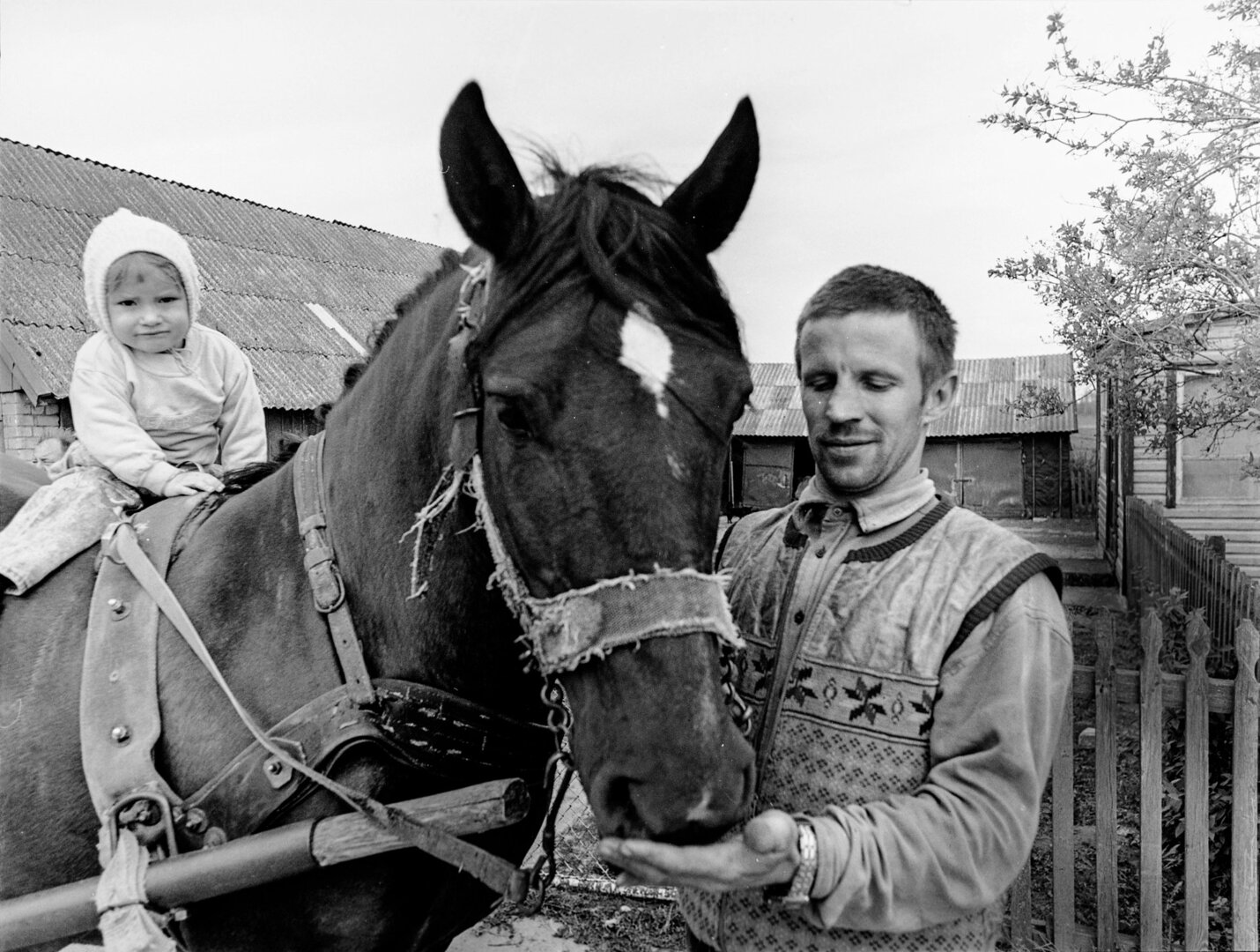 _&copy;V.Juraitis.Kinkant arklį.Stirni&scaron;kiai. 2004.