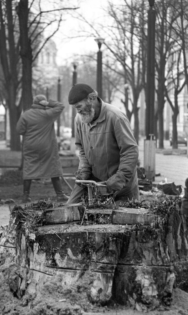 Pjaunami medžiai Laisvės alėjoje, Kaune, 1994