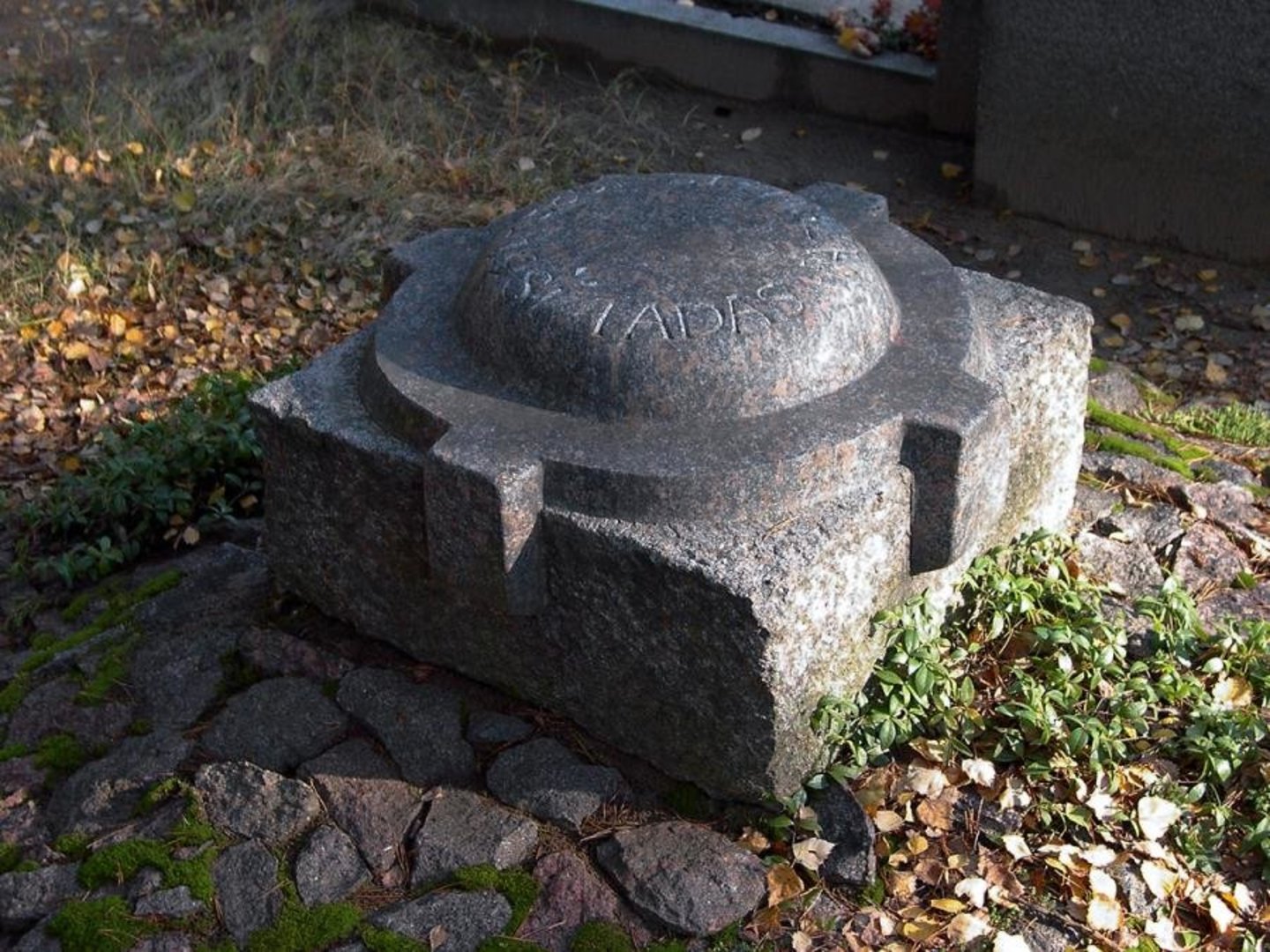 8139908551-rimantas-sakalauskas