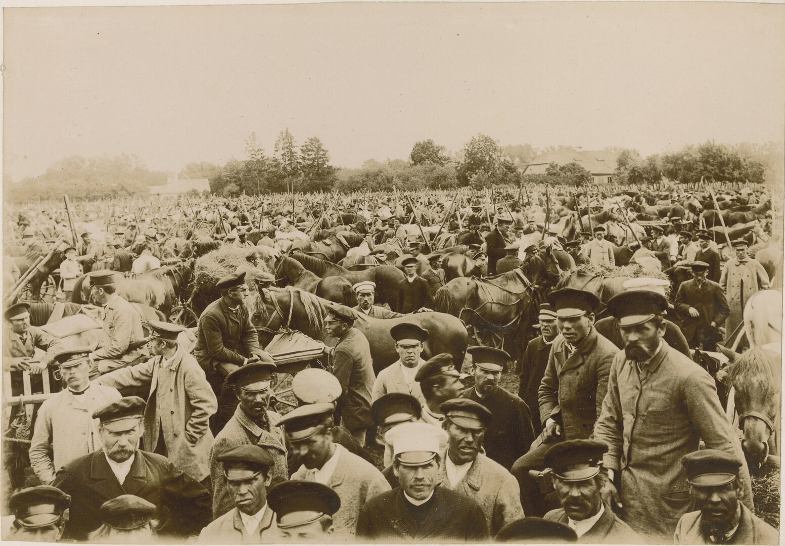 Arklių mugė Vilkmergėje. 1895 06 29