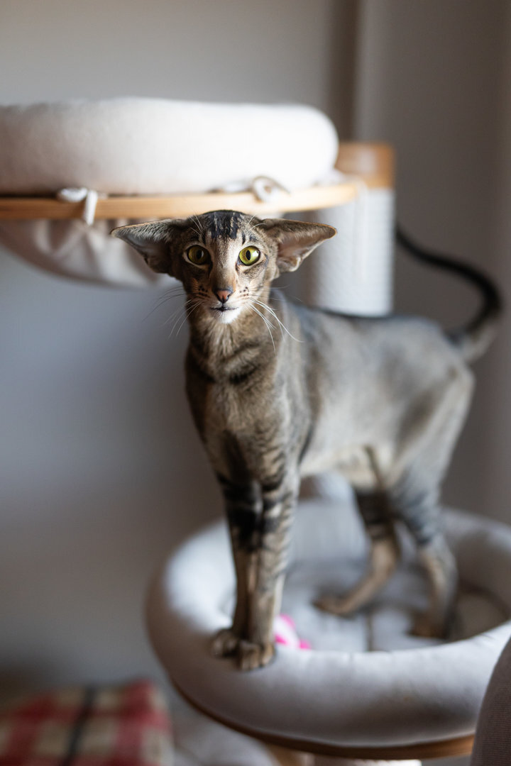 2277_Greta Skar-photo