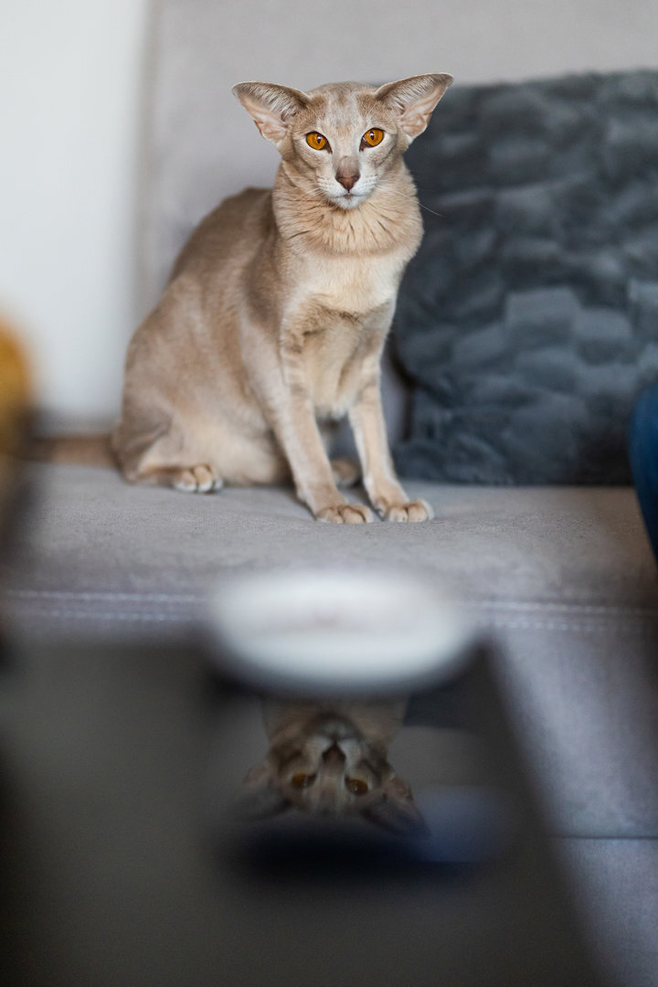 2278_Greta Skar-photo