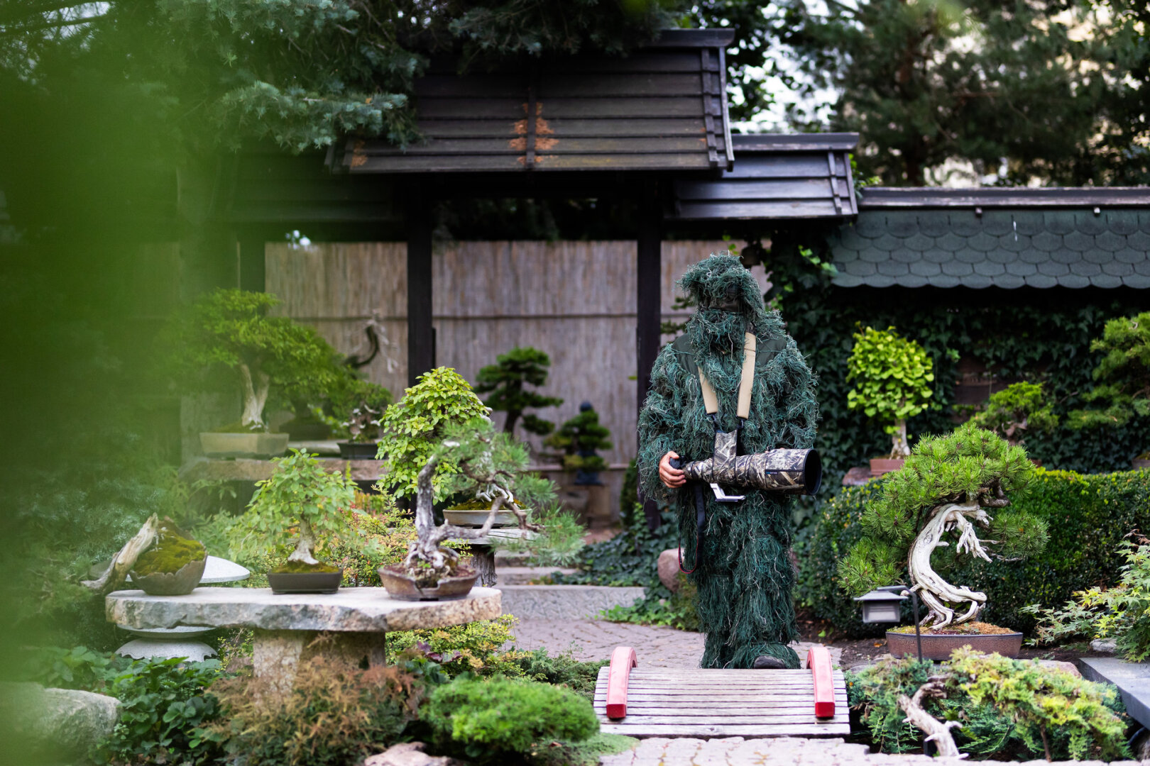 Kęstutis Ptakauskas &ndash; bonsai meno Lietuvoje pradininkas