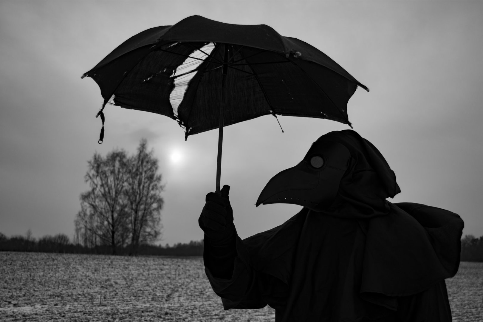 DSC_7739--- raw bw (1)