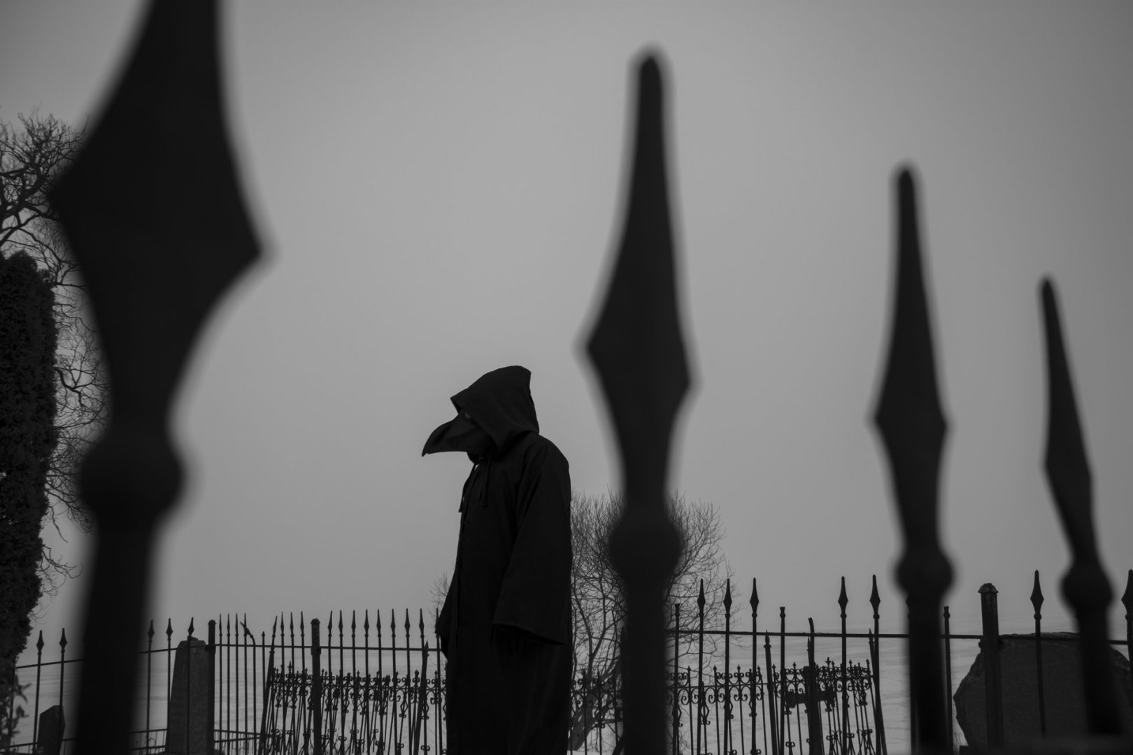 DSC_9226--raw bw