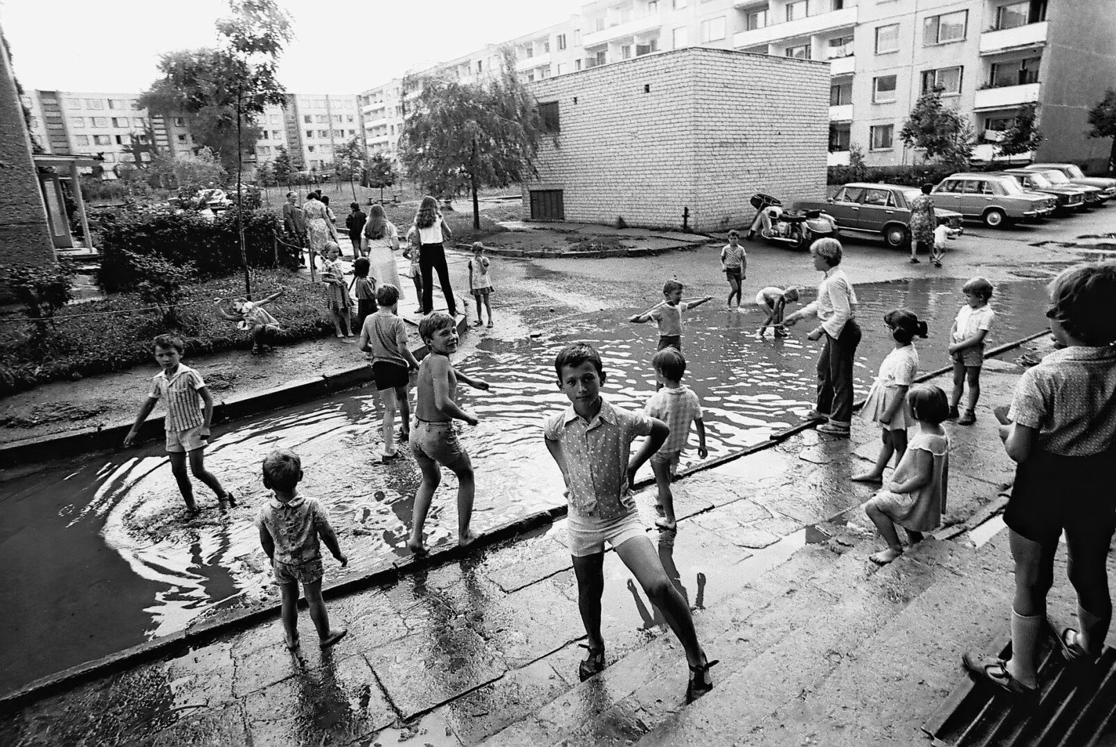 Putinų mikrorajone, 1981
