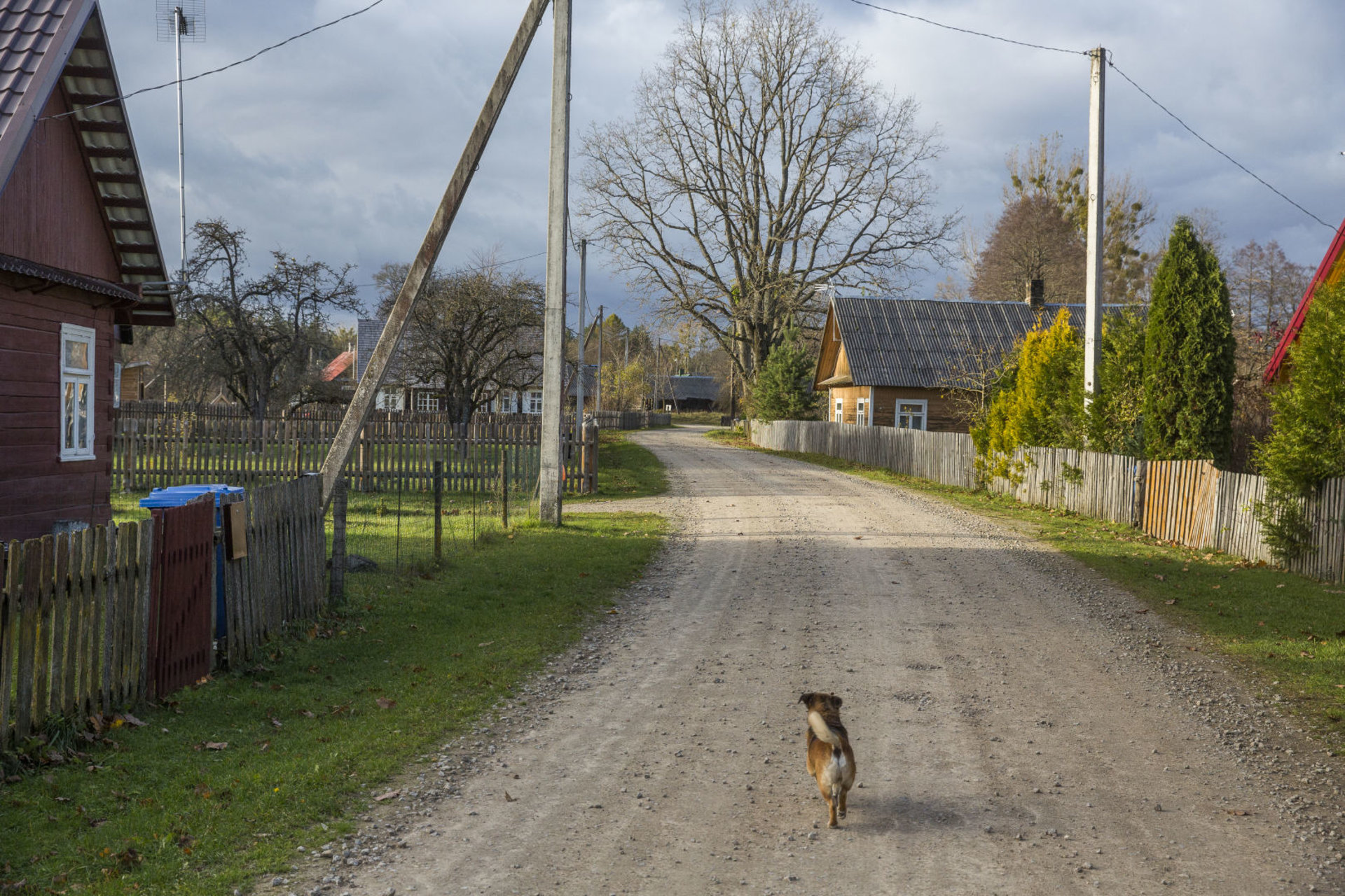 atgime-musteika-foto05