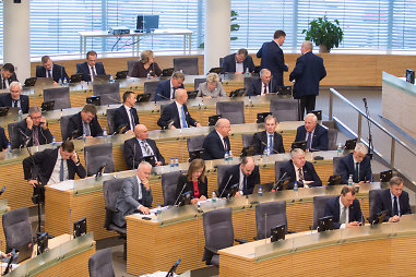 Referendumas dėl Seimo narių skaičiaus mažinimo