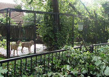Kauno zoologijos sodas