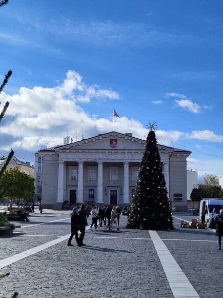 Vilniaus Rotu&scaron;ės aik&scaron;tėje i&scaron;dygo Kalėdų eglė &ndash; bus filmuojama reklama
