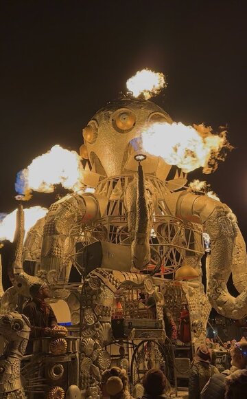 Jolanta Leonavičiūtė festivalyje &bdquo;Burning Man&ldquo;