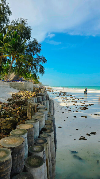 Saugirdo Vaitulionio kelionė į Zanzibarą