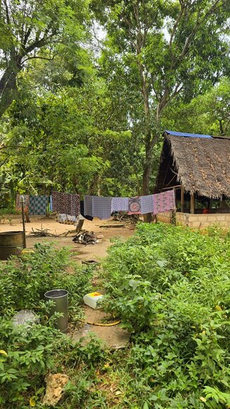 Saugirdo Vaitulionio kelionė į Zanzibarą