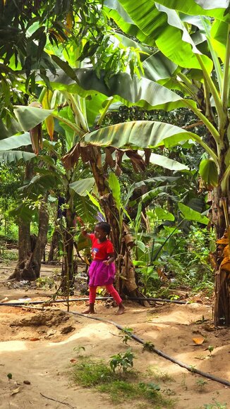 Saugirdo Vaitulionio kelionė į Zanzibarą