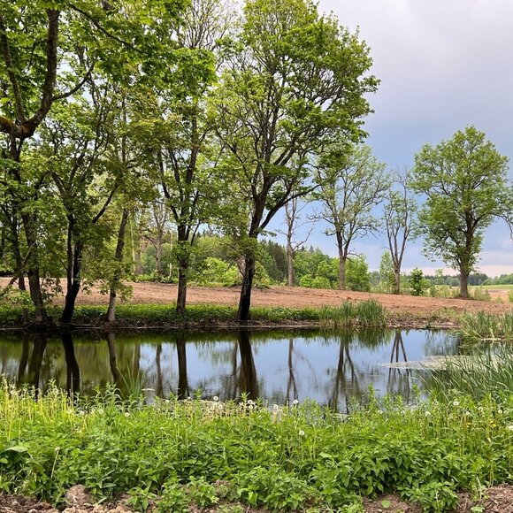 Restauruojamas Kamari&scaron;kių dvaras virs menininkų kūrybos erdve