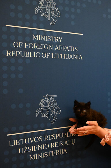 Užsienio reikalų ministerijos katinas Rangas