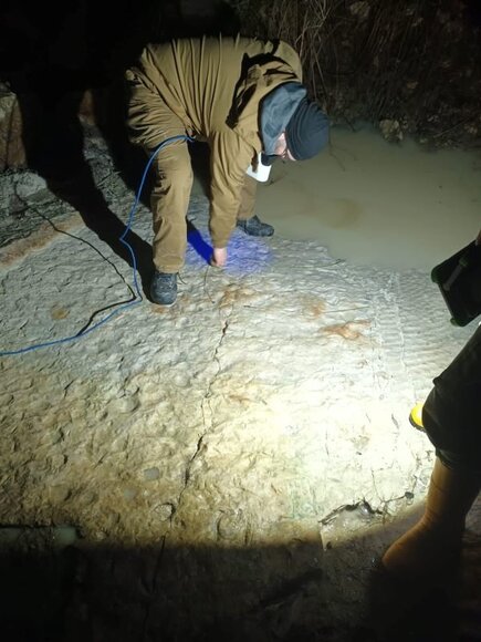 Pavir&scaron;iaus su pėdsakais skanavimas