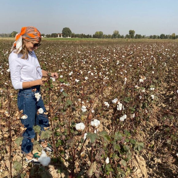 Karolina medvilnės laukuose, kurie plyti Uzbekistane