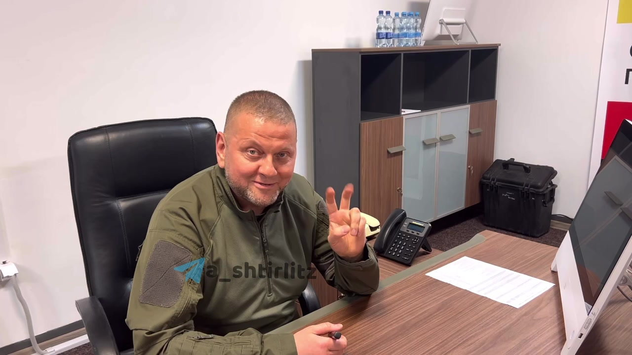 Ukraina juokiasi iš rusų propagandos: V.Zalužnas pasirodė gyvas ir sveikas